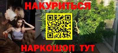 прущие крисы Кандалакша