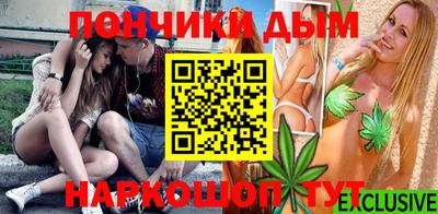 крисы Камышлов