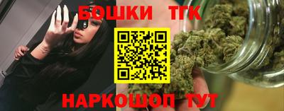 крисы Камышлов