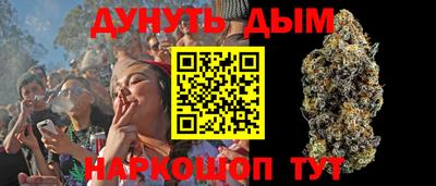 прущие крисы Кандалакша