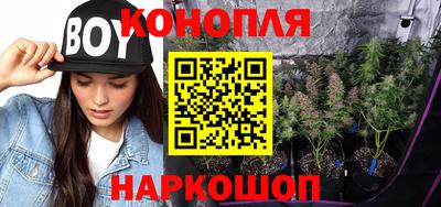 прущие крисы Кандалакша