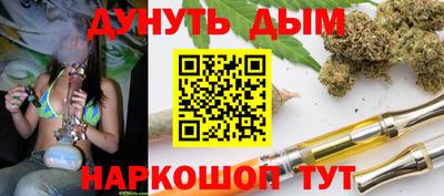 крисы Камышлов