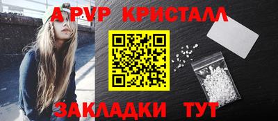 крисы Камышлов