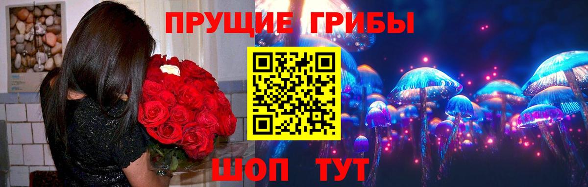 Полысаево  Псилоцибиновые грибы Psilocybine cubensis  Галлюциногенные грибы мухоморы  Вход с VPN 